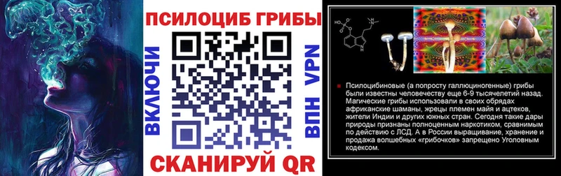 Купить где  Донской  Псилоцибиновые грибы Cubensis 